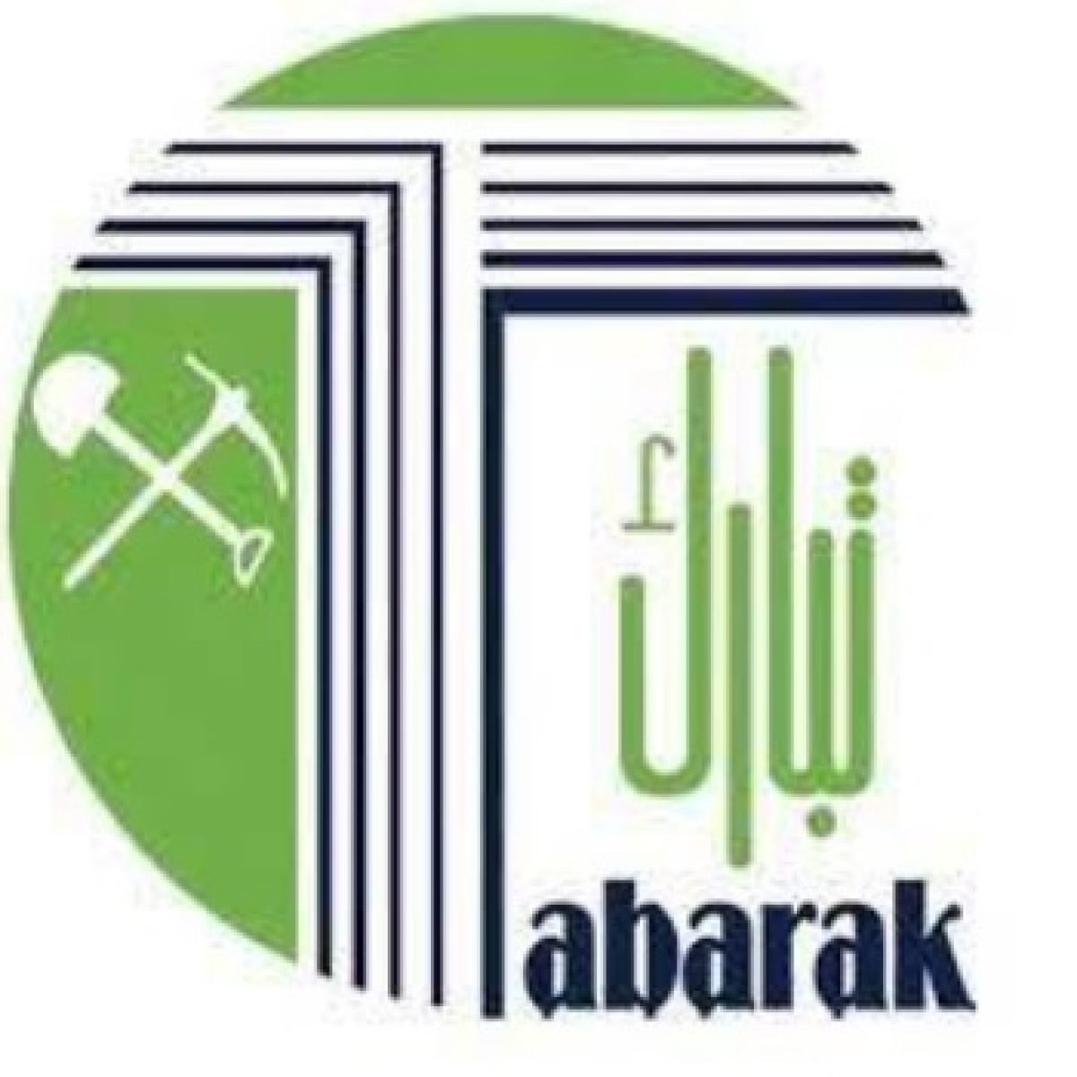 معلومات عن الشركة (1)_page-0007